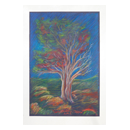 Papp Imre festm�nyei